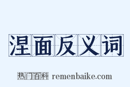 涅面反义词是什么意思的图片